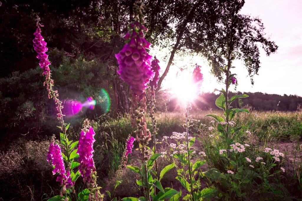 Enjoy Cozy Romance Hills Forest Gardens Views Sauna Whirlpool Bath Jablonné v Podještědí 外观 照片