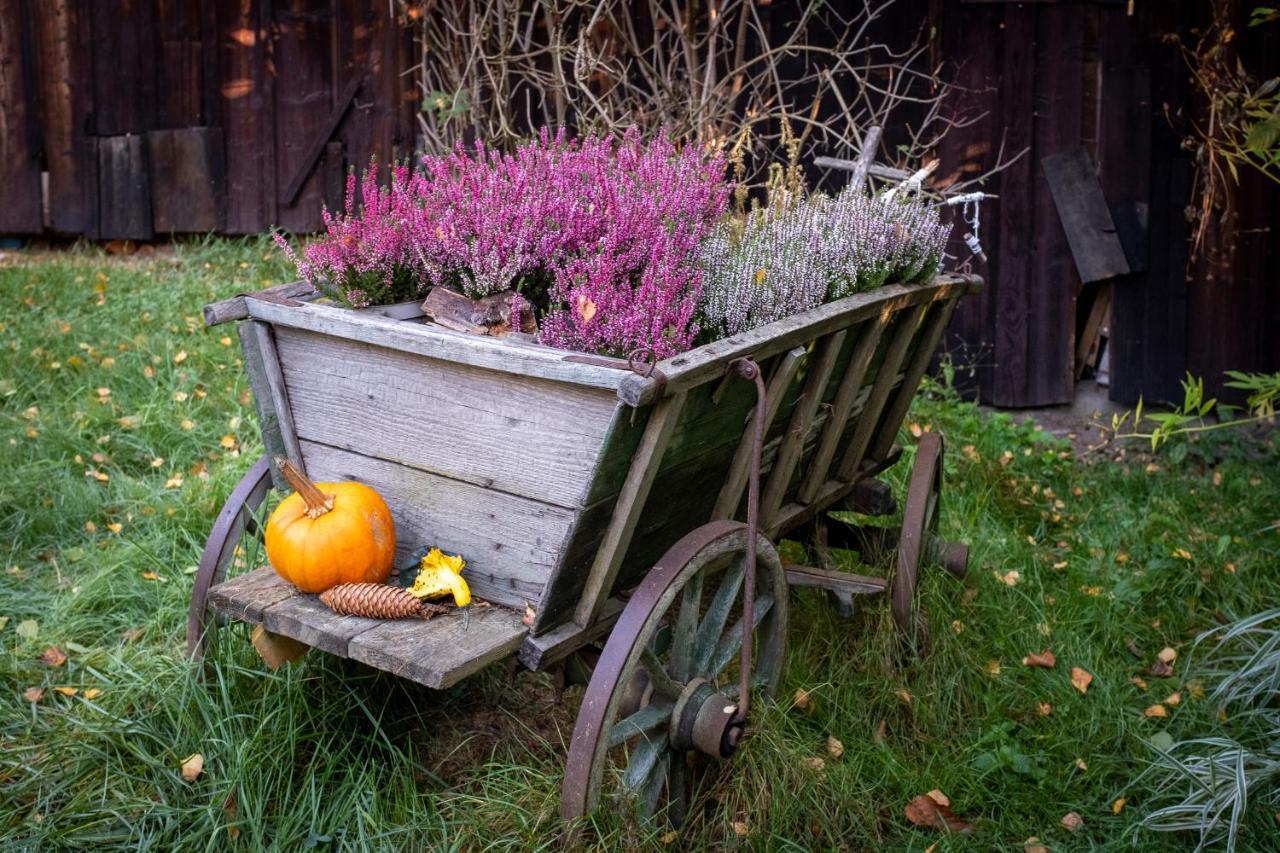 Enjoy Cozy Romance Hills Forest Gardens Views Sauna Whirlpool Bath Jablonné v Podještědí 外观 照片